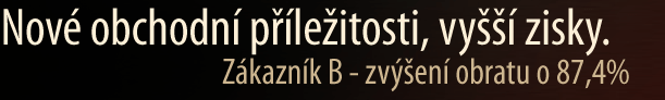 Rozdělení www stránek a www prezentací